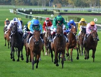 gouve turf la reference du turf|Turf : quinté+, résultats PMU, pronostics gratuits .